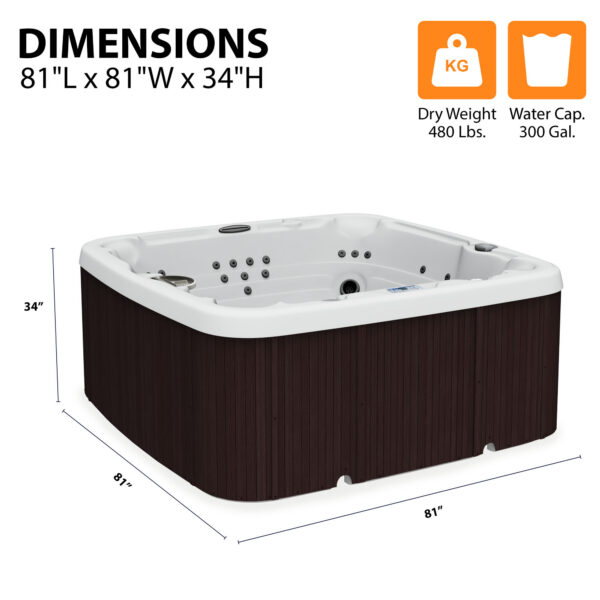 Lifesmart LS600DX (Coronado) 7-Person, 65-Jet 230-Volt Spa